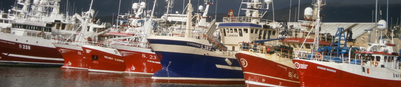 A photo of a small fleet of fishing vessels