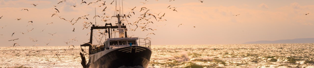 lighterage-quay-port-of-truro-1280x280