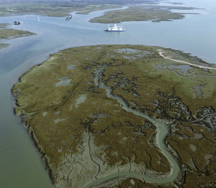 You might also like...