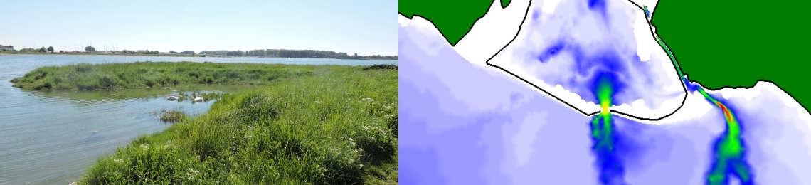 Flood model output and a saltmarsh image