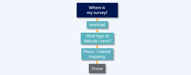 drone-survey-diagram.png