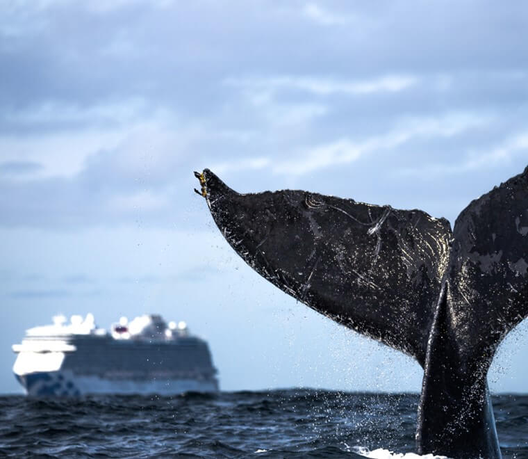 You might also like...