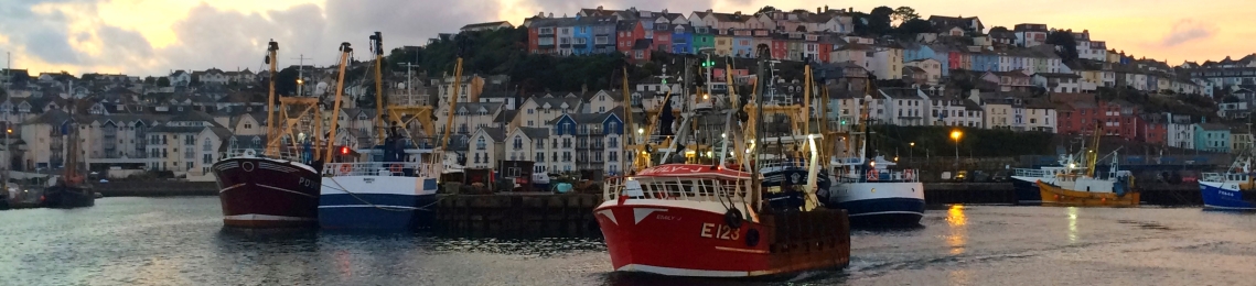 A photo of fishing vessels at Brixham Harbour
