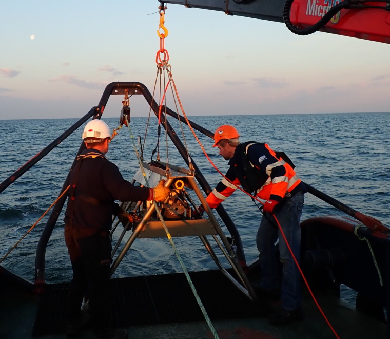 Bream nesting activity surveys support dredging licence requirements