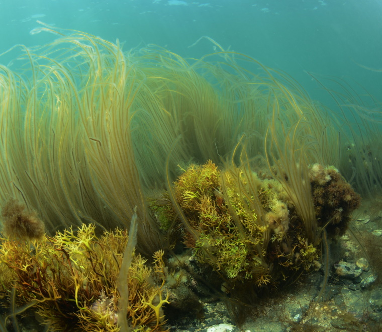 Dredging impact measurement