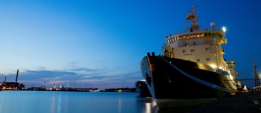 MARNIS port risk management