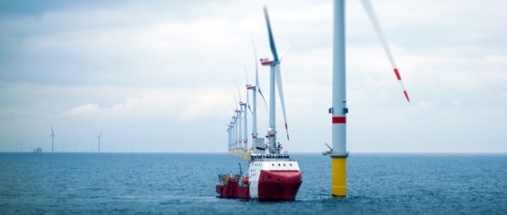 Offshore wind farm and transfer vessel