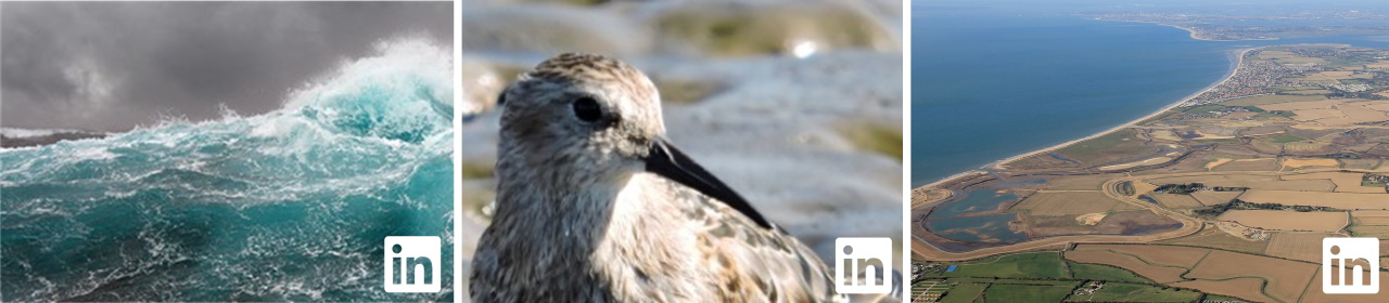 abpmer-linkedin-groups (1)