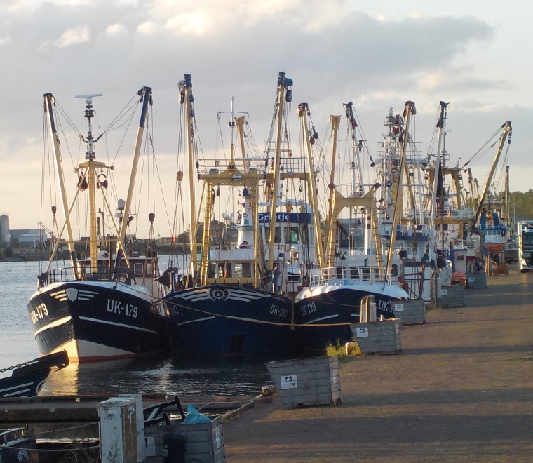 dutch-beam-trawls-square.jpg