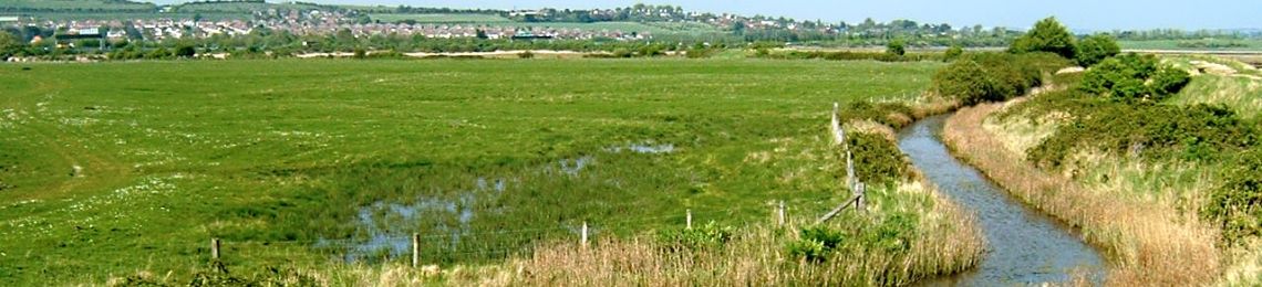 farlington marsh