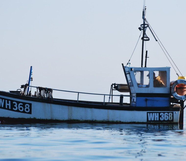 Economic link review for fishing vessels