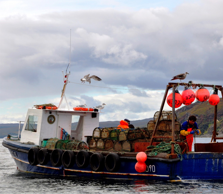 fishing-vessel-square_1.jpg