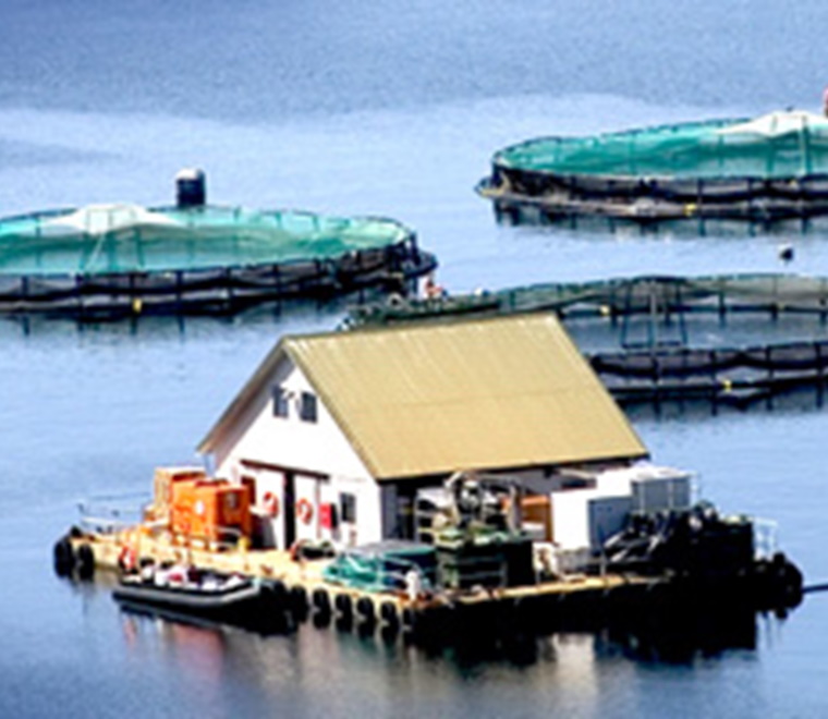 Aquaculture fishfarm
