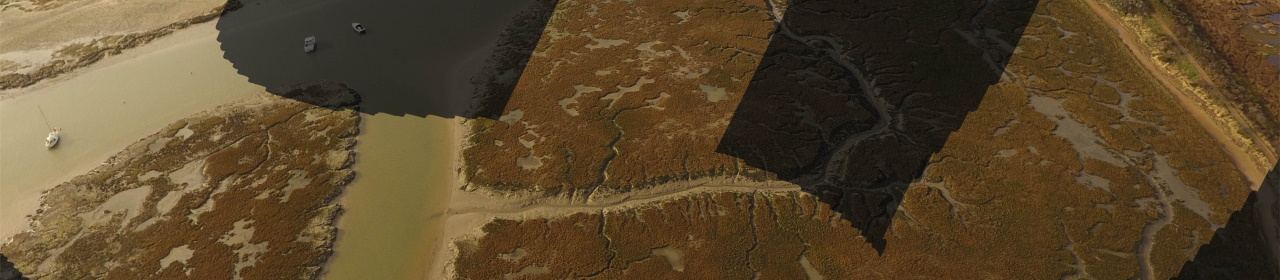 An aerial photo of Lymington Saltmarsh overlaid with a pound sign (£)