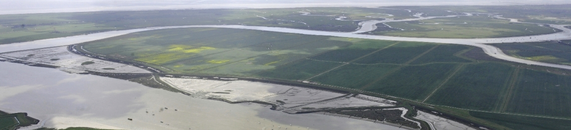 A photo of managed realignment