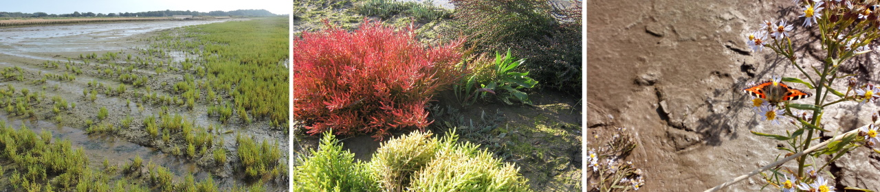 Managed realignments