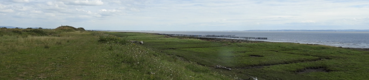 A photo of a view towards polders from West Outfall, Rumney