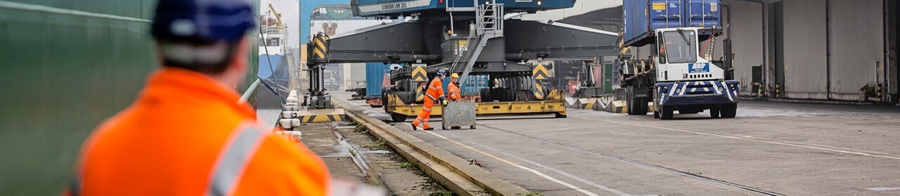 pmsc-auditor-1280x280 (4)