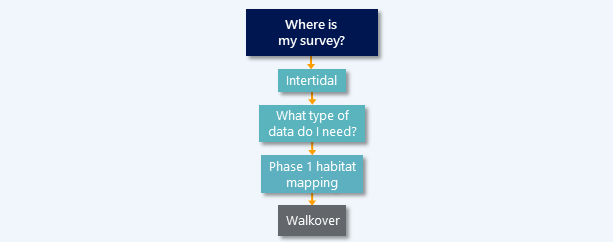 walkover-survey-diagram.png