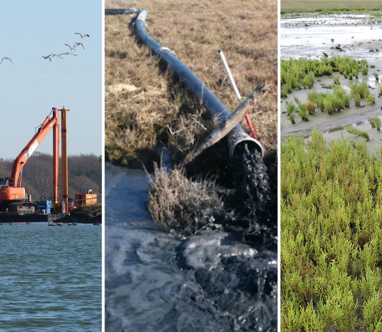 Strategic review for solent beneficial use project