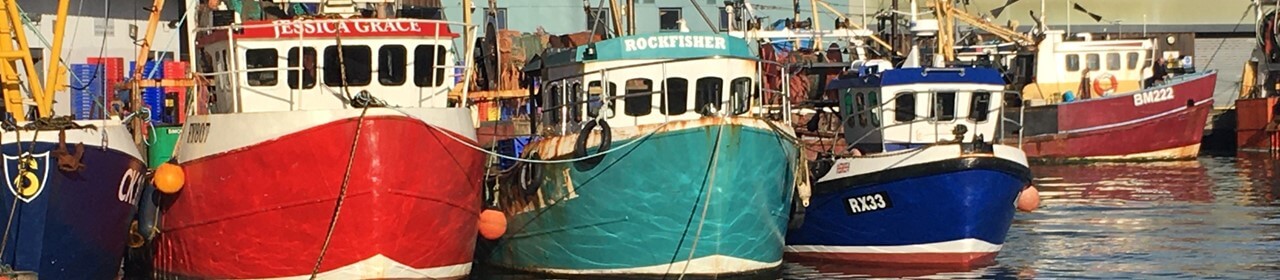 brixham-boats-in-harbour-1280x280.jpg