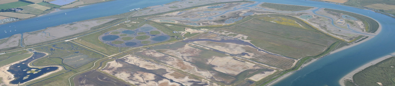 wallasea-wild-coast-aerial.jpg