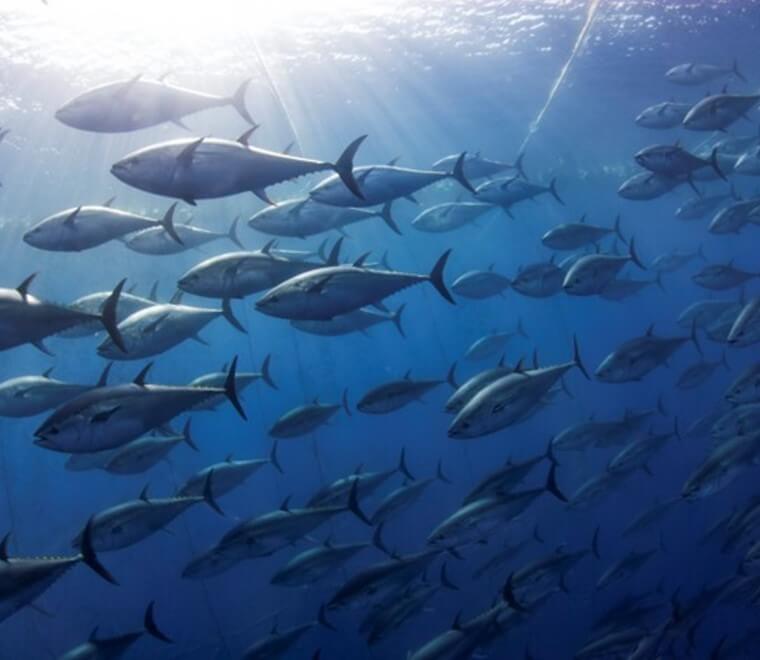 You might also like...