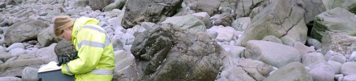 wessex coastal monitoring