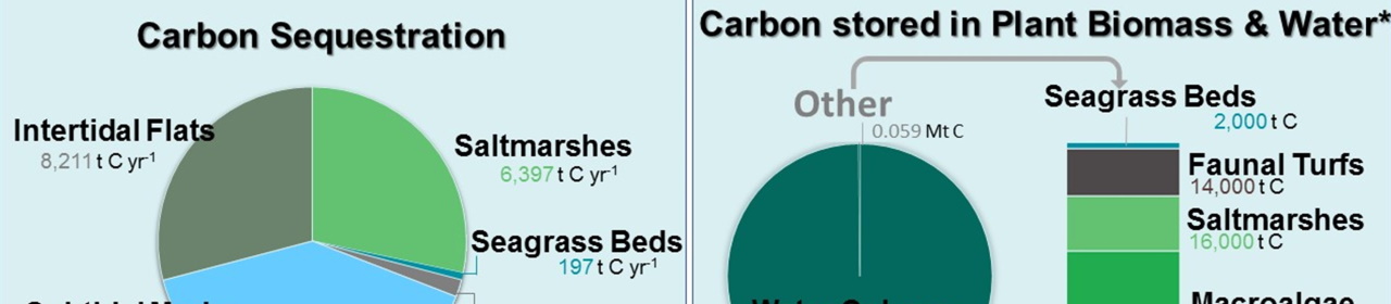 welsh-blue-carton-pie-charts