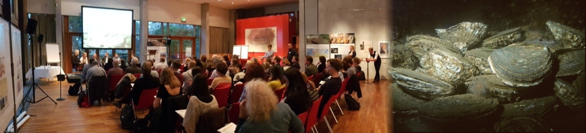 Flat oyster restoration workshop