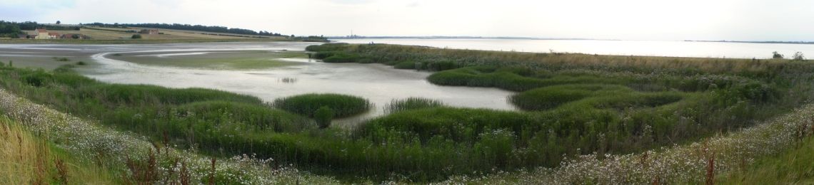 welwick chowder ness